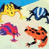 Mini FrogsSold In Dozens
