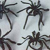 Black Spider RingsPrice Per 144 Count Bag