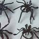 Black Spider RingsPrice Per 144 Count Bag