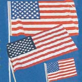 Plastic American FlagPrice Per Dozen