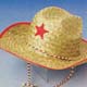 Child Cowboy HatPrice Per Single Item