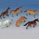 Mini Horses<br>Price Per Dozen