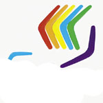 Plastic Bright Boomerangs<br>10"-48 piece(s)