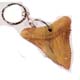 SHARK TOOTH KEYCHAINS 12 PACK