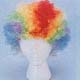 Clown Wig<br>Price Per Single Item