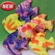 Tie Dyed  Fish<br>Price Per Dozen